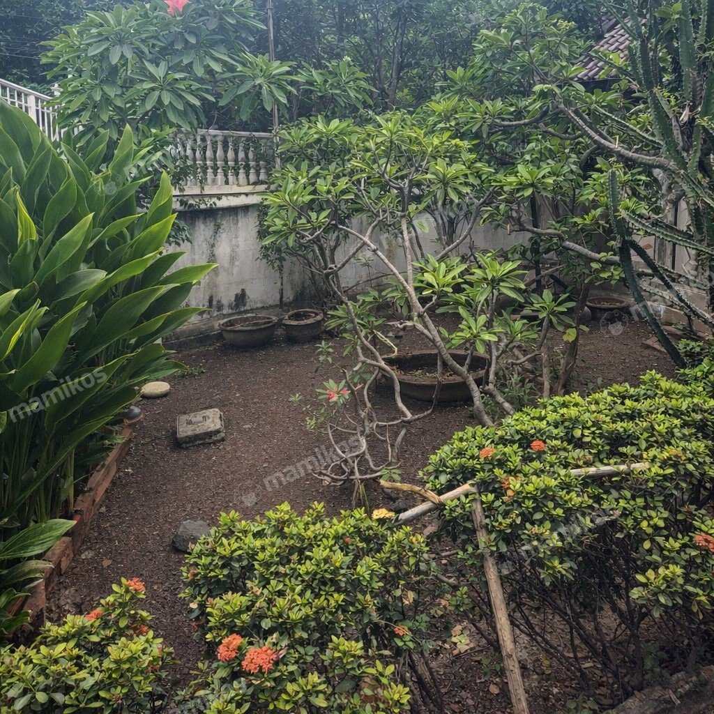 Rumah Sertifikat SHM 3 Kamar Tidur 3 Kamar Mandi Kayu Putih Jakarta Timur - Photo 3