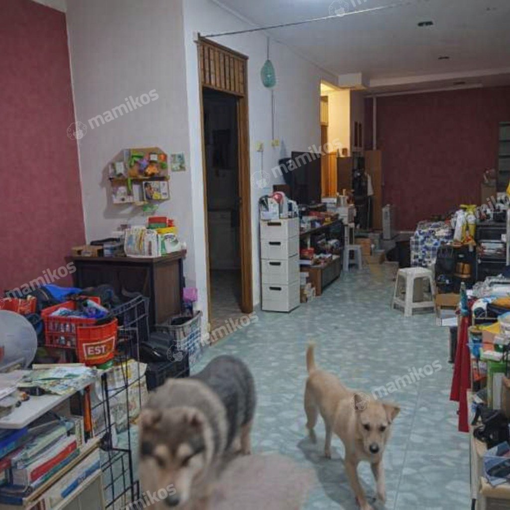 Rumah Sertifikat SHM 5 Kamar Tidur 2 Kamar Mandi Semanan Jakarta Barat - Photo 3