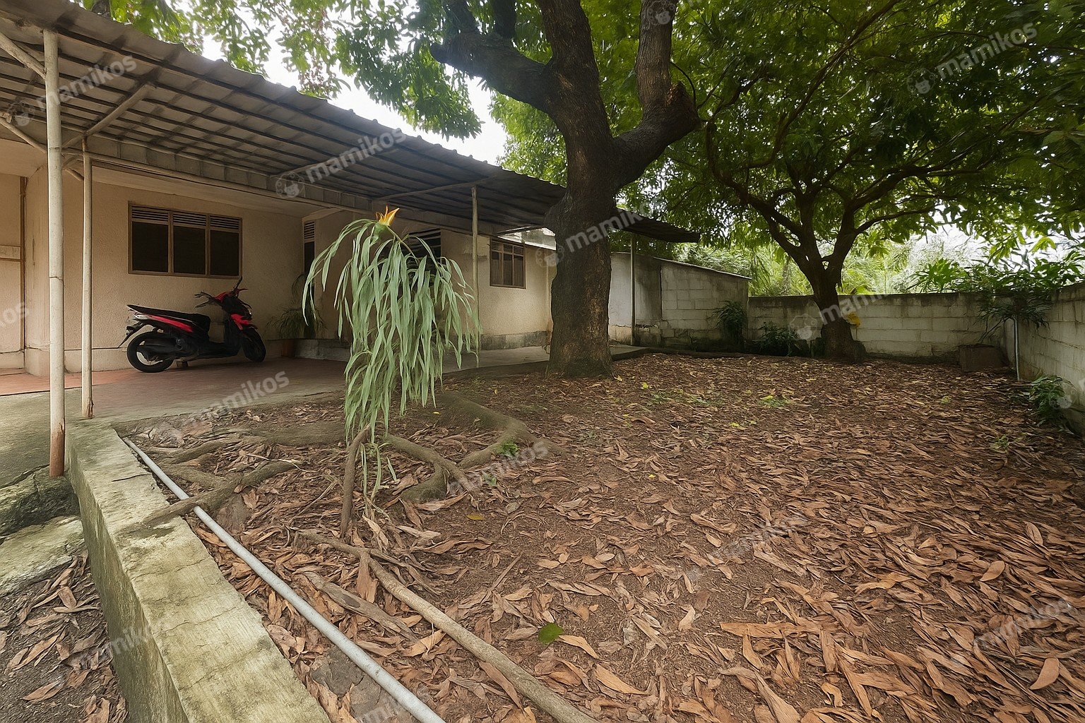 Rumah Sertifikat SHM 3 Kamar Mandi 1 Lantai Cilandak Jakarta Selatan - Photo 2