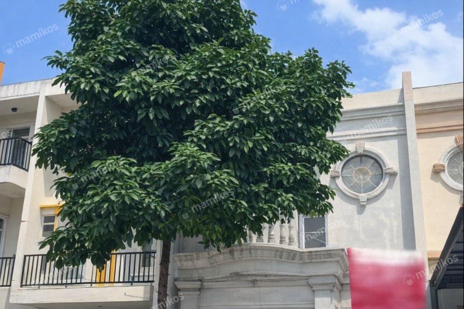 Rumah 3KT 3KM Cengkareng Jakarta Barat