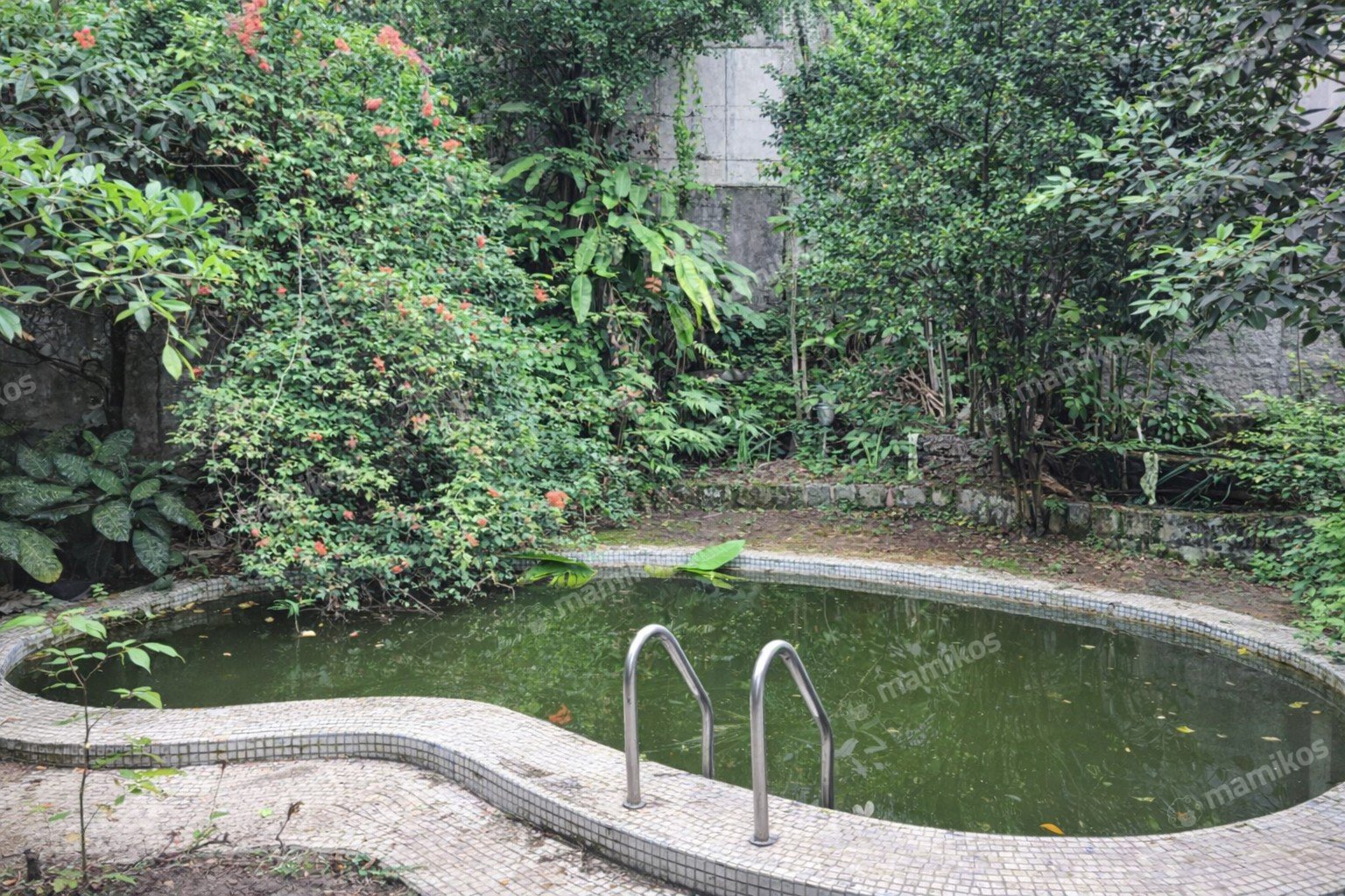 Rumah 7KT 4KM Kemang Jakarta Selatan