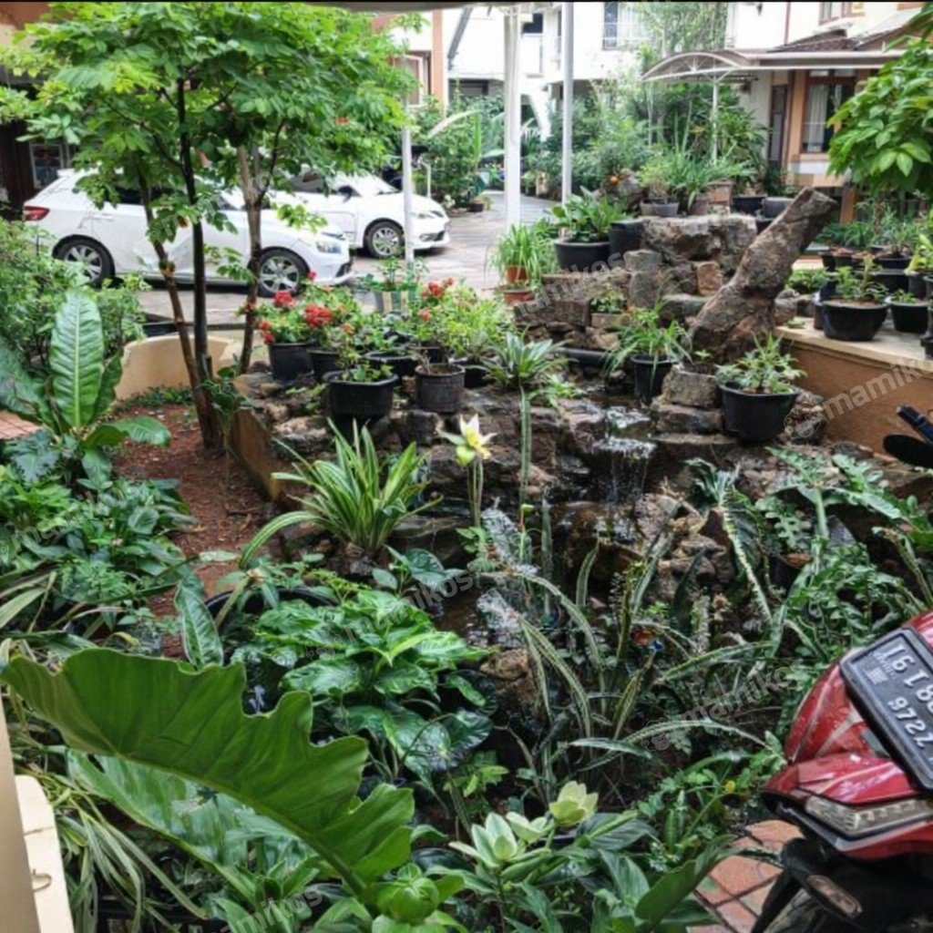 Rumah Sertifikat HGB 3 Kamar Tidur 4 Kamar Mandi Jatinegara Jakarta Timur - Photo 3