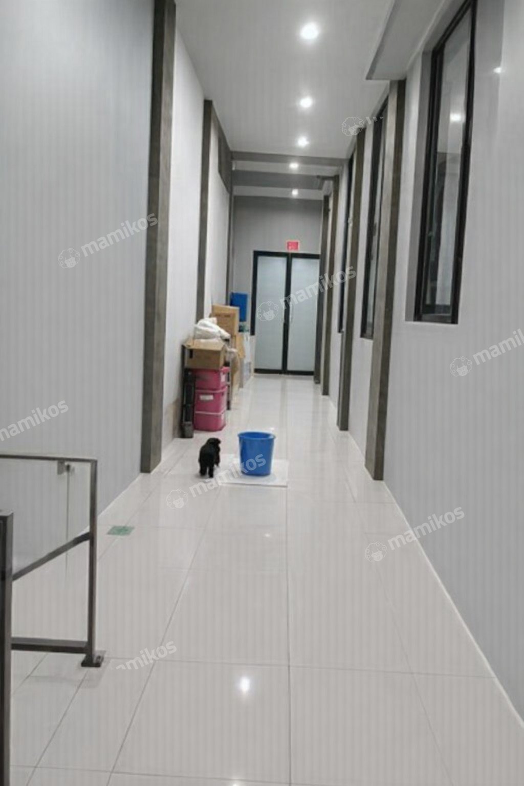 Rumah Sertifikat SHM 4 Kamar Tidur 3 Kamar Mandi Sunter Jakarta Utara - Photo 5