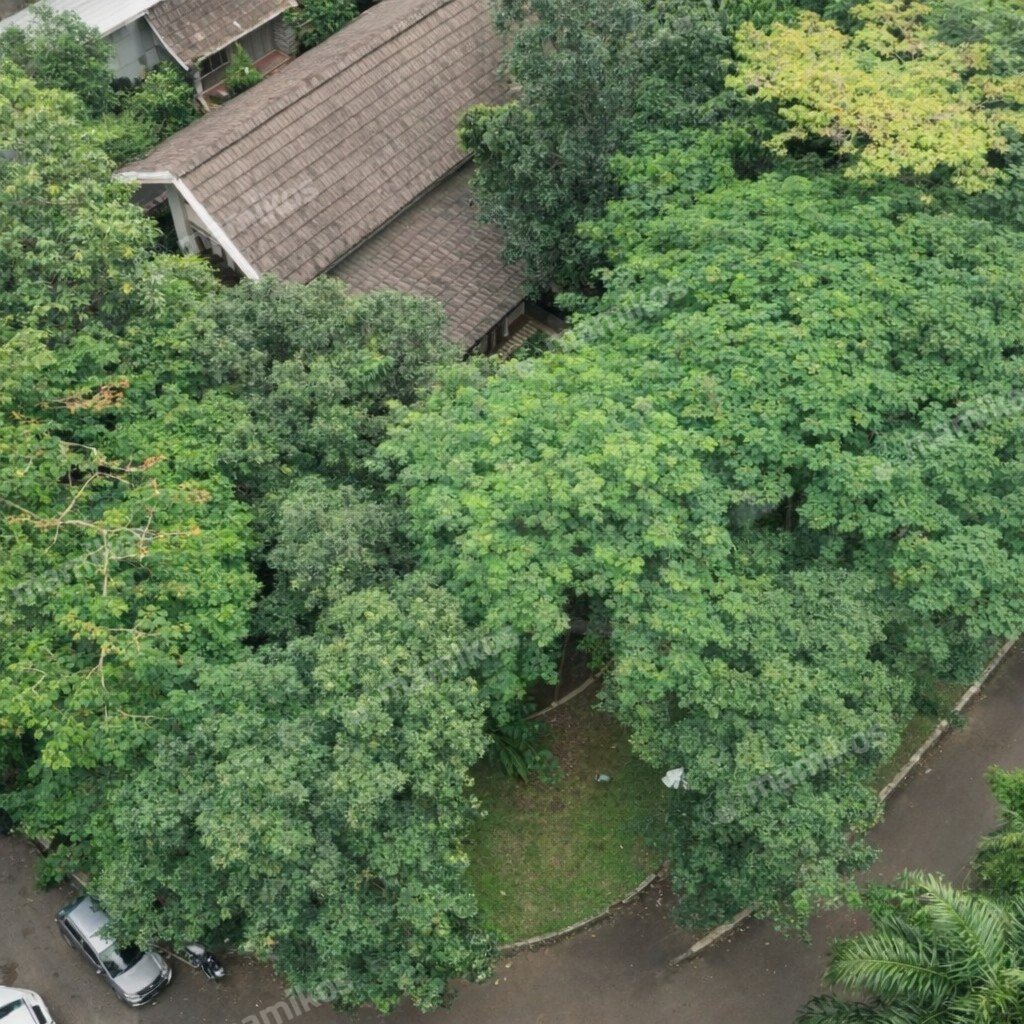Rumah Sertifikat SHM 6 Kamar Tidur 6 Kamar Mandi Kebayoran Baru Jakarta Selatan - Photo 3