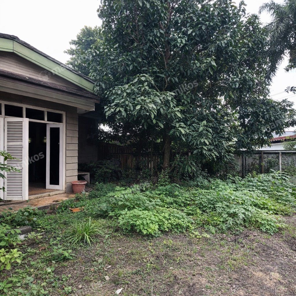 Rumah Sertifikat SHM 4 Kamar Tidur 2 Kamar Mandi Jati Padang Jakarta Selatan - Photo 3