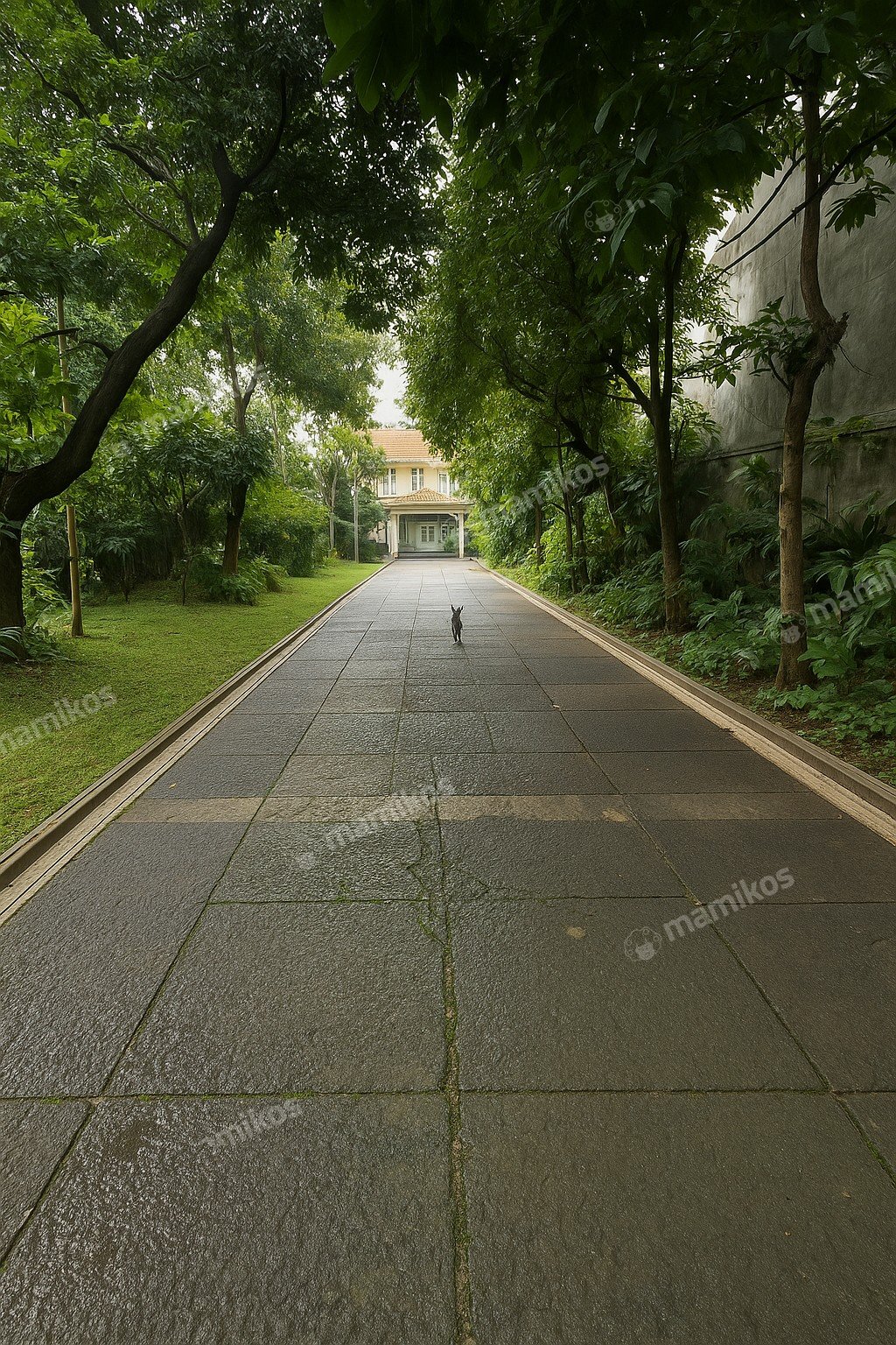 Rumah Sertifikat SHM 7 Kamar Tidur 7 Kamar Mandi Kalibata Jakarta Selatan - Photo 3