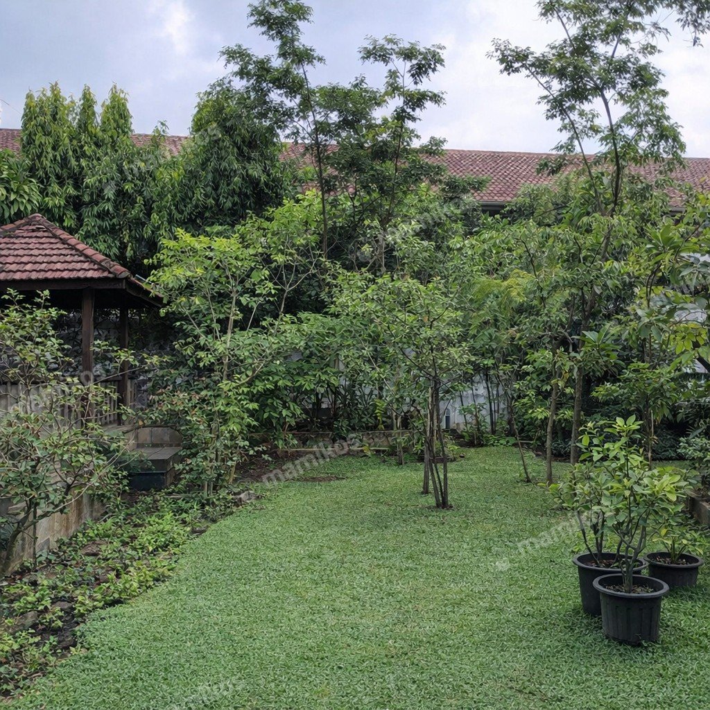 Rumah Sertifikat SHM 7 Kamar Tidur 6 Kamar Mandi Pancoran Jakarta Selatan - Photo 2