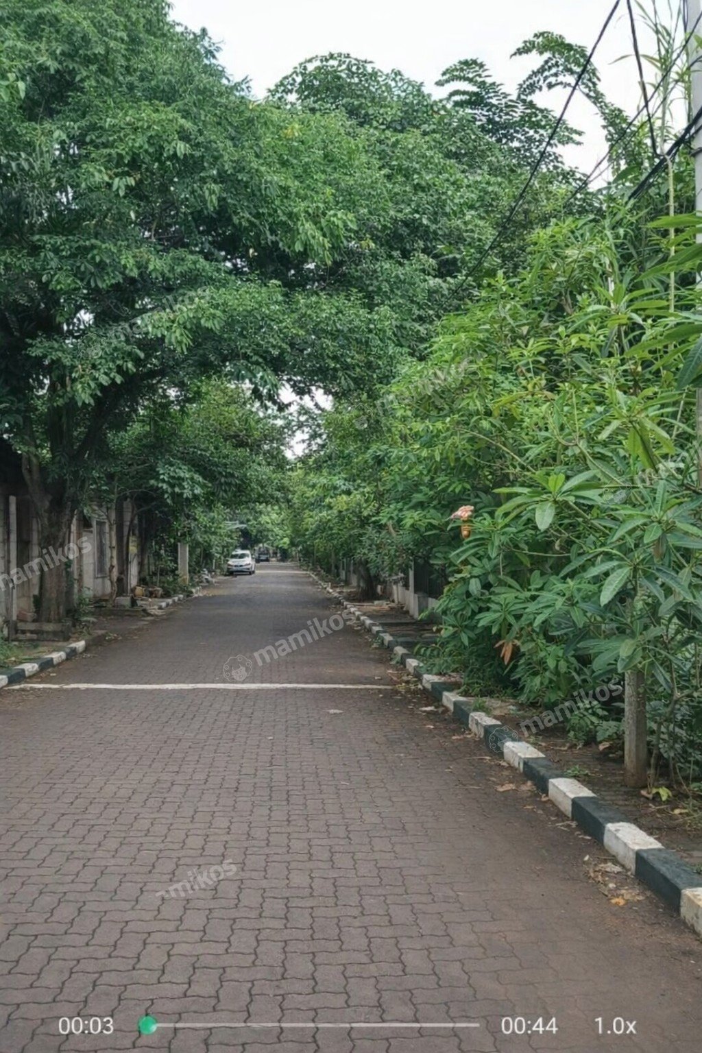 Rumah Sertifikat SHM 4 Kamar Tidur 2 Kamar Mandi Cilandak Jakarta Selatan - Photo 5