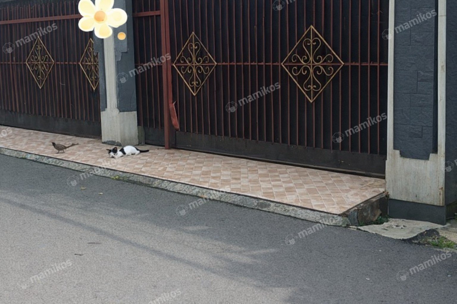 Rumah Sertifikat SHM 5 Kamar Tidur 4 Kamar Mandi Pondok Kelapa Jakarta Timur