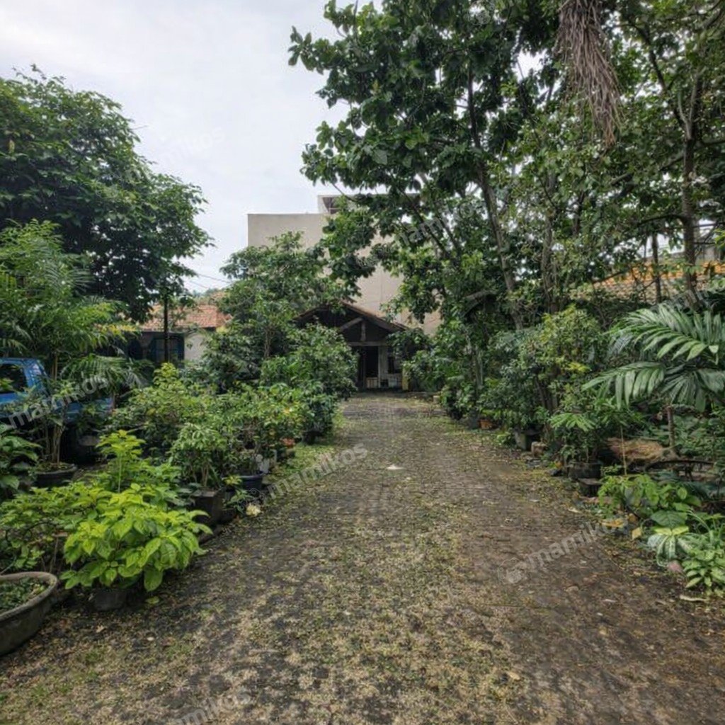Rumah Sertifikat SHM 3 Kamar Tidur 1 Kamar Mandi Cipete Jakarta Selatan - Photo 4