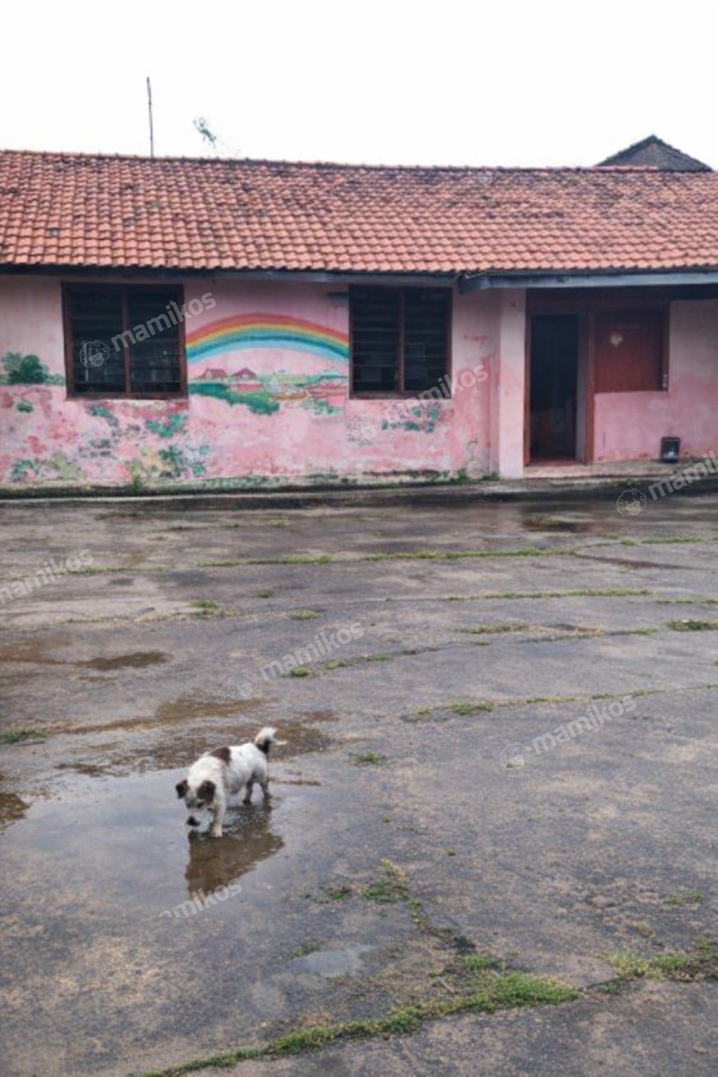 Rumah Sertifikat SHM 7 Kamar Tidur 4 Kamar Mandi Ciracas Jakarta Timur - Photo 3