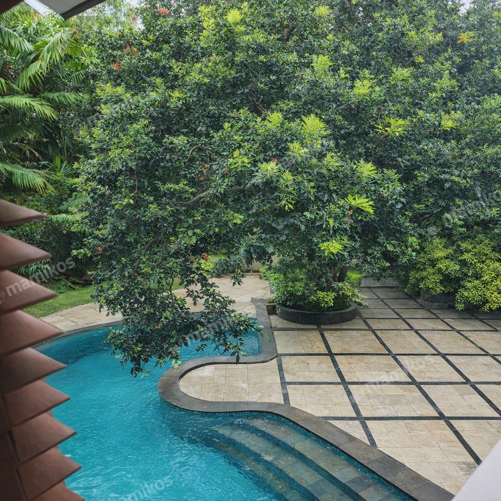 Rumah Sertifikat SHM 6 Kamar Tidur 6 Kamar Mandi Cilandak Jakarta Selatan - Photo 2