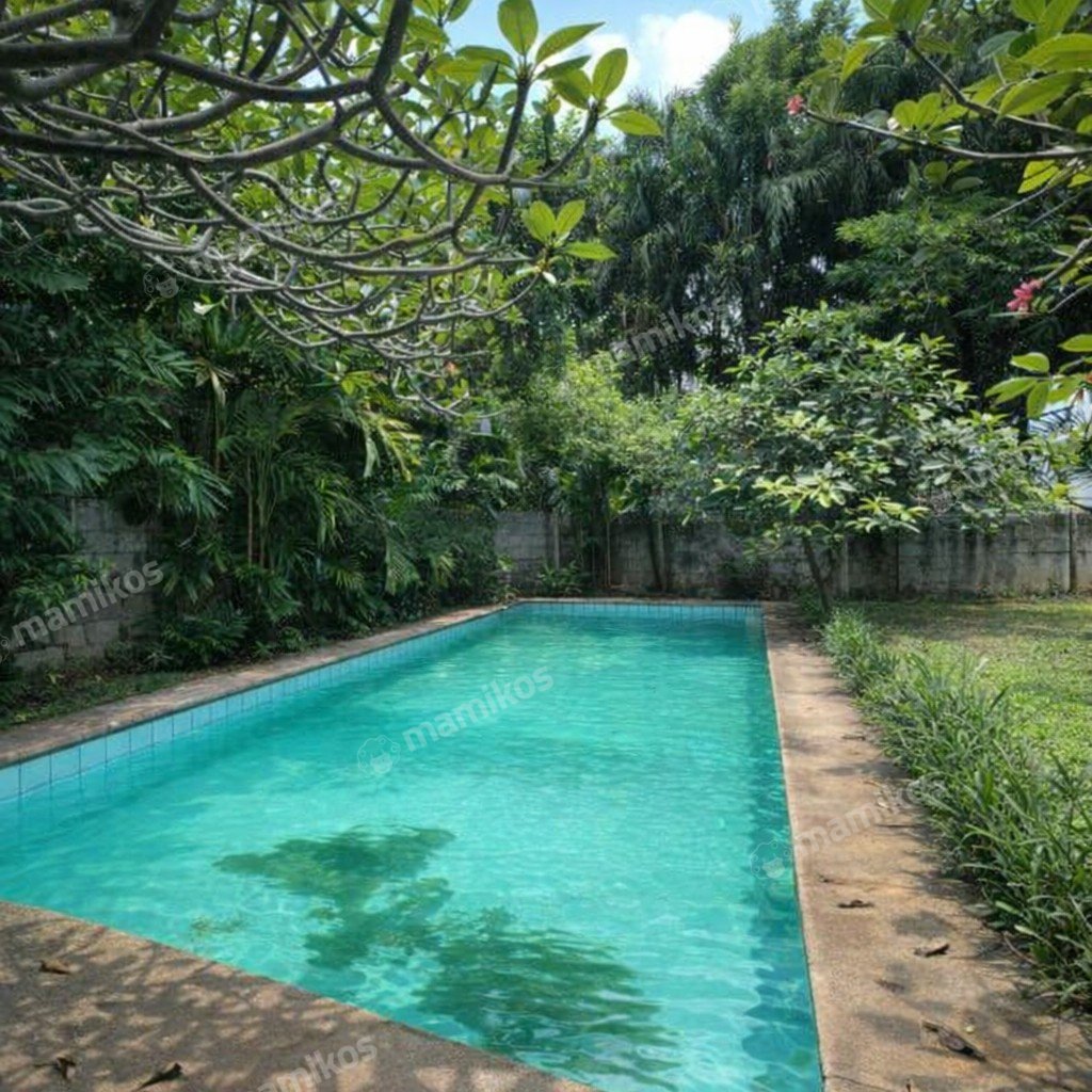 Rumah 5 Kamar Tidur 5 Kamar Mandi 1 Lantai Kemang Jakarta Selatan - Photo 4