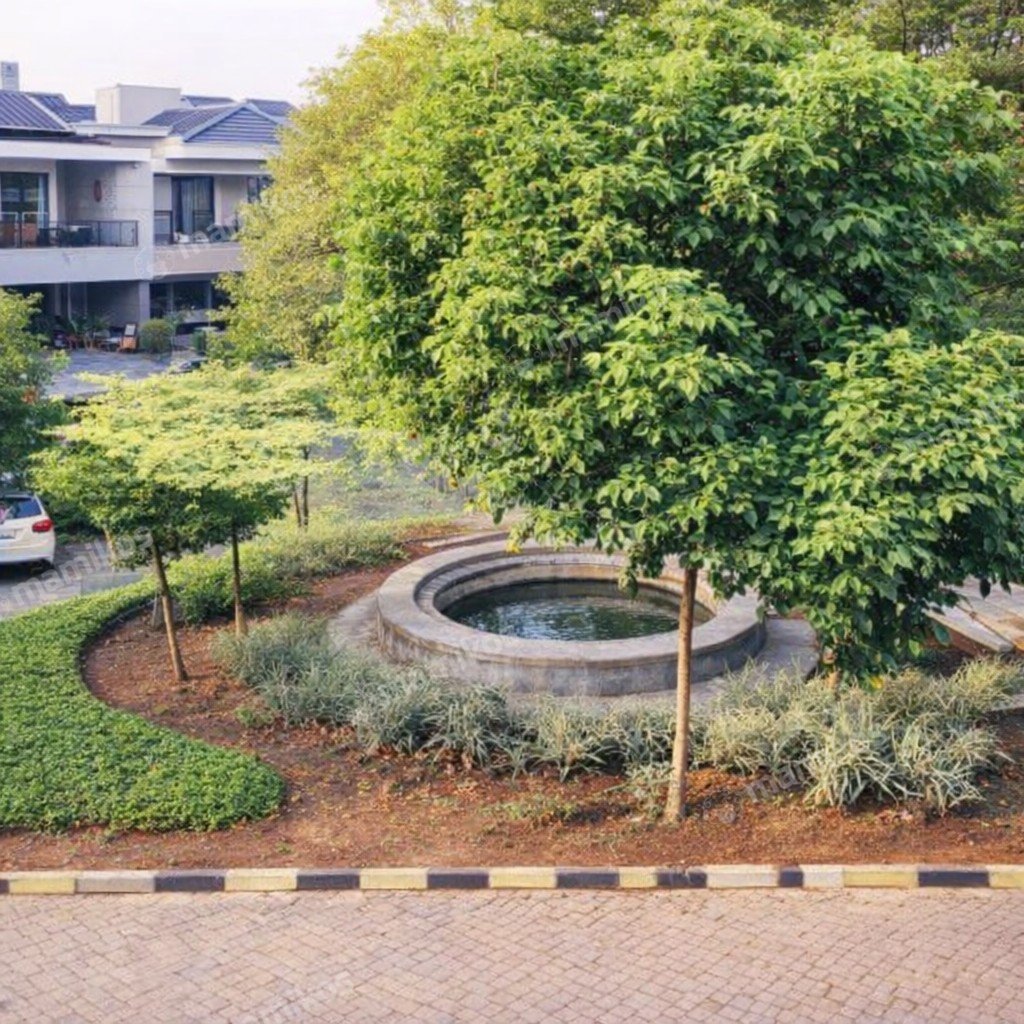 Rumah Sertifikat SHM 6 Kamar Tidur 5 Kamar Mandi Cengkareng Jakarta Barat - Photo 3
