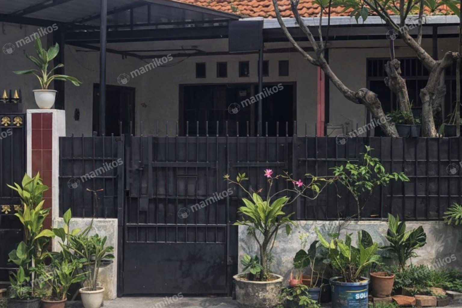 Rumah Sertifikat SHM 3 Kamar Tidur 1 Kamar Mandi Kemang Jakarta Selatan