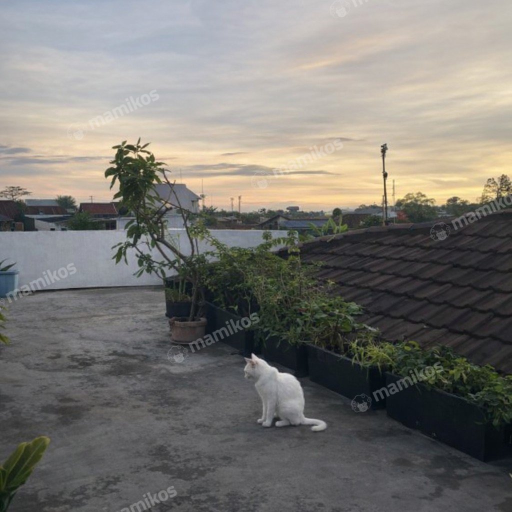 Rumah Sertifikat SHM 5 Kamar Tidur 5 Kamar Mandi Cinere Jakarta Selatan - Photo 5