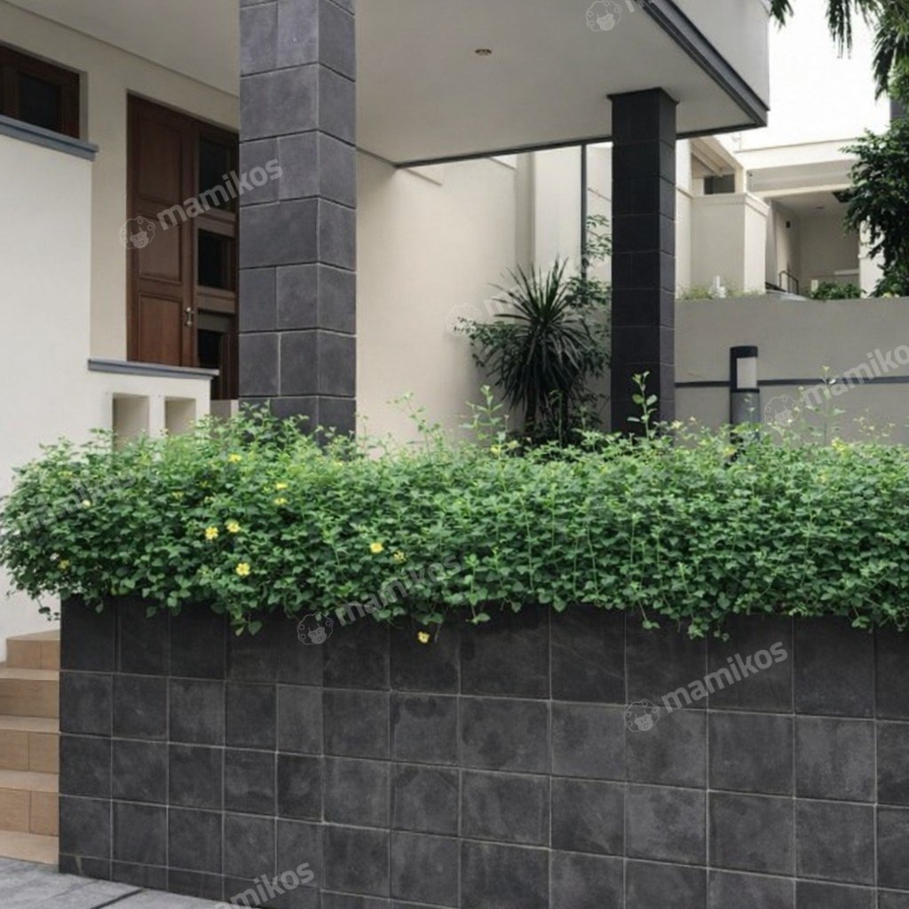 Rumah Sertifikat SHM 5 Kamar Tidur 3 Kamar Mandi Pondok Indah Jakarta Selatan - Photo 3
