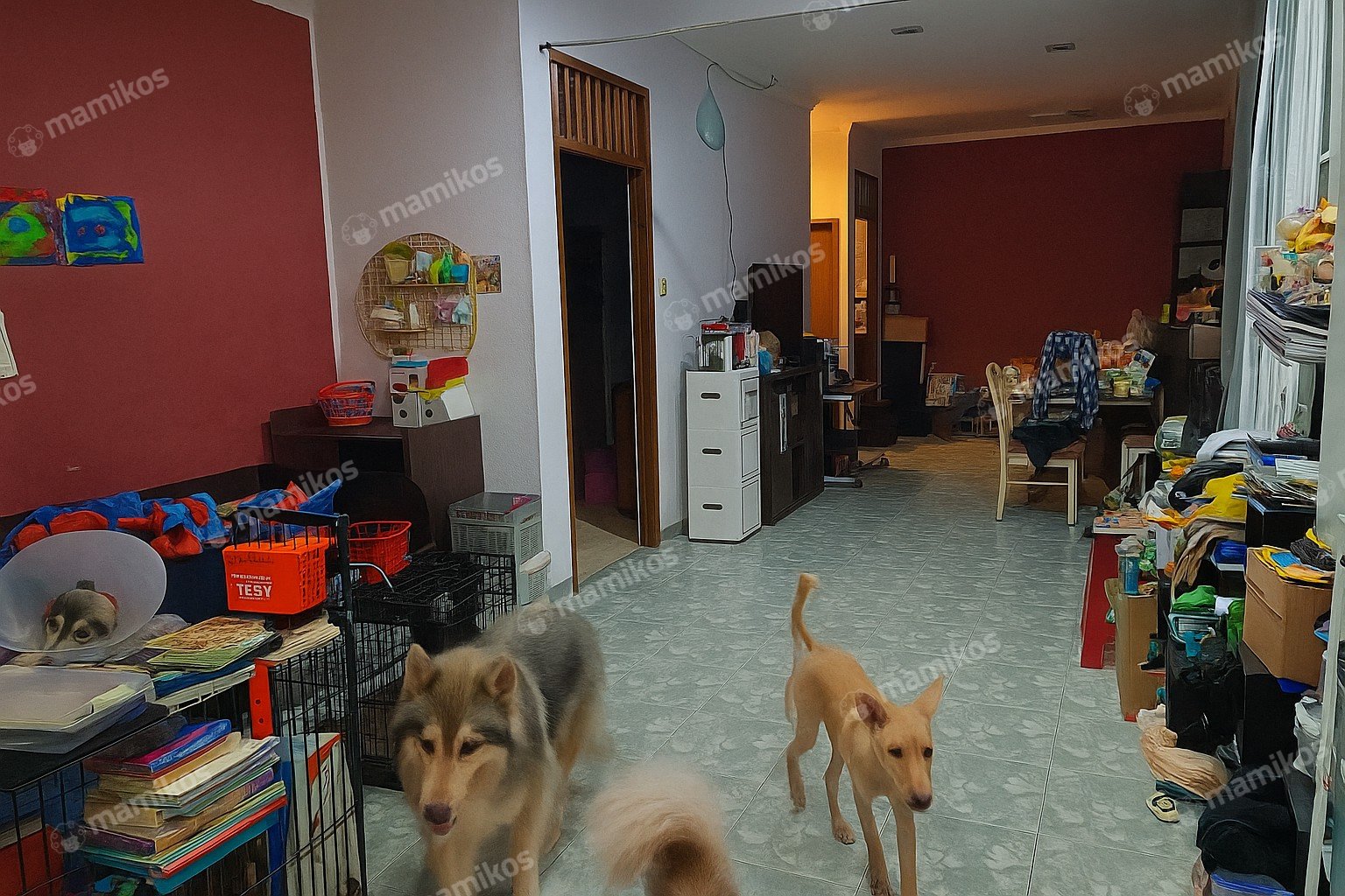 Rumah Sertifikat HGB 5 Kamar Tidur 2 Kamar Mandi Semanan Jakarta Barat - Photo 3
