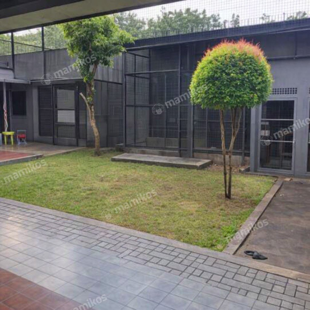 Rumah Sertifikat SHM 5 Kamar Tidur 3 Kamar Mandi Kembangan Jakarta Barat - Photo 4