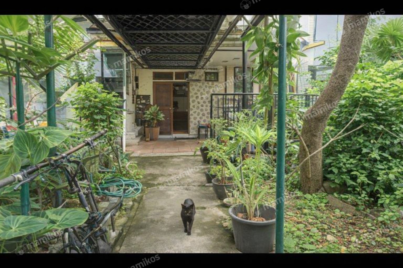 Rumah 1 Lantai Tomang Jakarta Barat - Photo 4