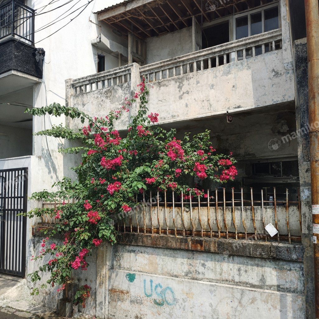 Rumah Sertifikat SHM 2 Kamar Tidur 1 Kamar Mandi Tanjung Duren Jakarta Barat - Photo 4