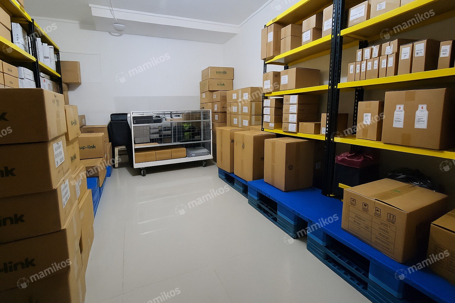 Rumah Tomang Jakarta Barat