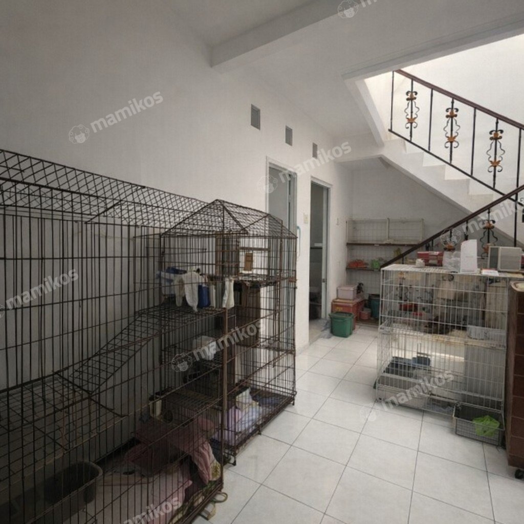 Rumah Sertifikat SHM 3 Kamar Tidur 2 Kamar Mandi Kav DKI Jakarta Barat - Photo 5