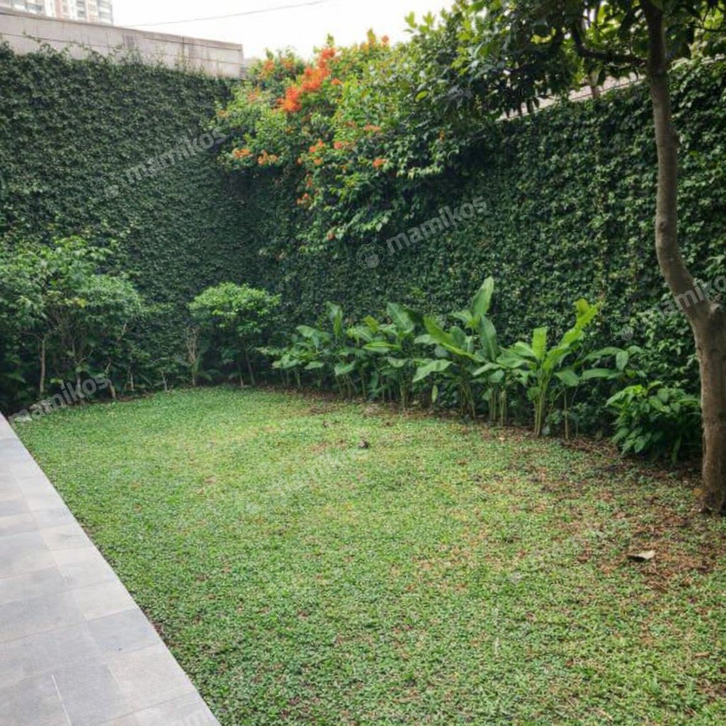 Rumah Baru Sertifikat SHM 5 Kamar Tidur Kebayoran Baru Jakarta Selatan - Photo 2