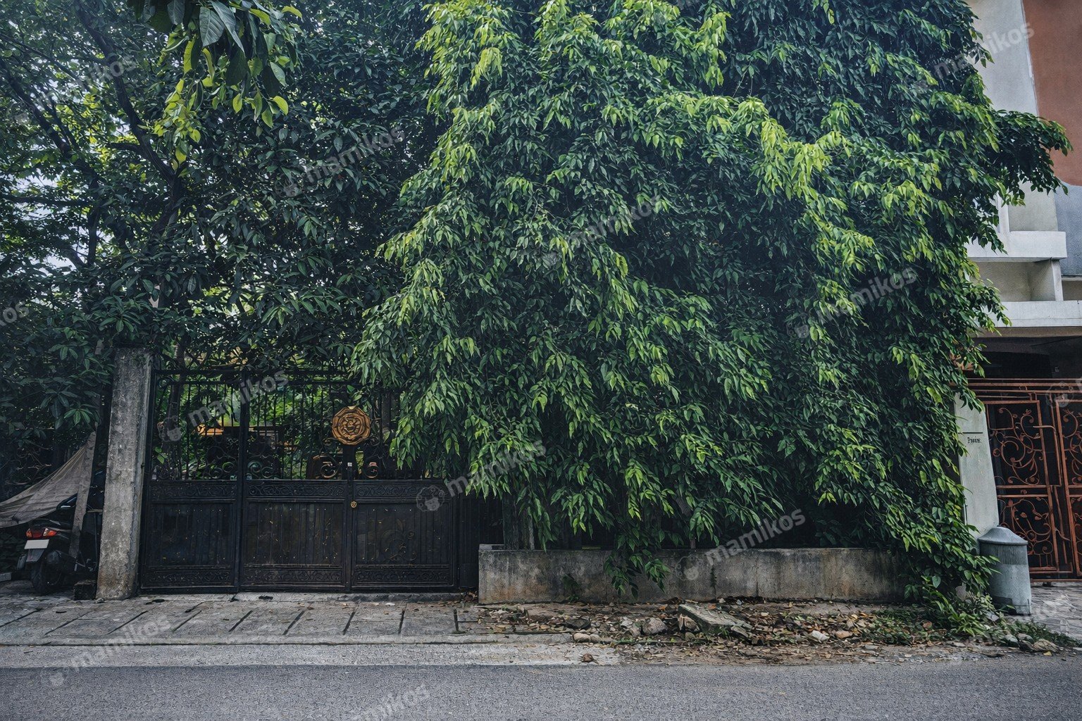 Rumah Sertifikat SHM 4 Kamar Tidur 2 Kamar Mandi Duri Kepa Jakarta Barat - Photo 4
