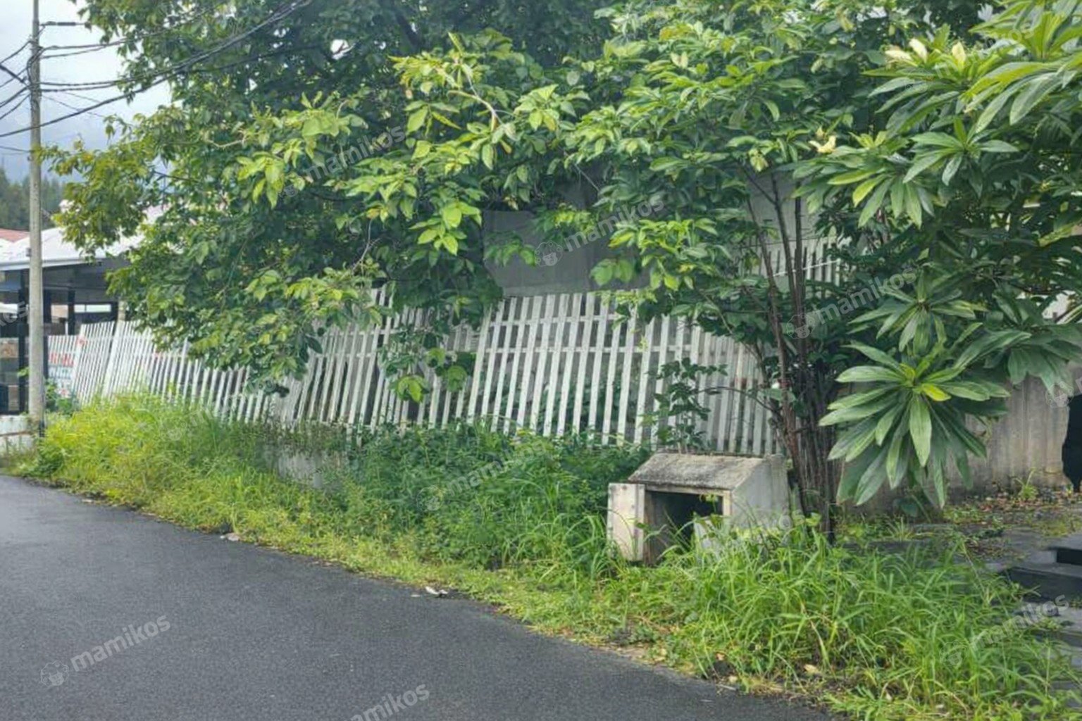 Rumah Sertifikat SHM 3 Kamar Tidur 1 Kamar Mandi Kayu Putih Jakarta Timur