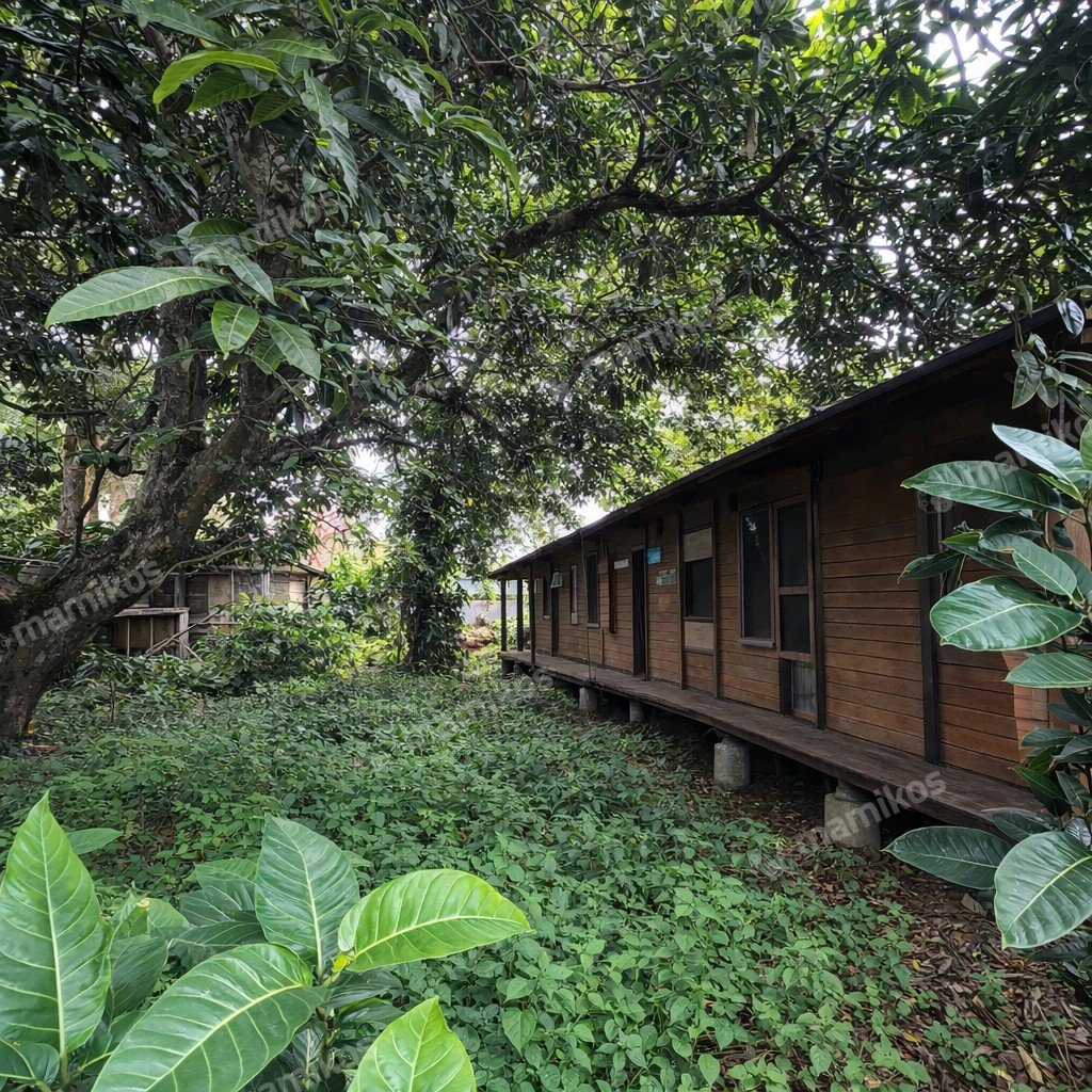 Rumah Sertifikat SHM 1 Kamar Tidur 1 Kamar Mandi Pondok Labu Jakarta Selatan - Photo 4