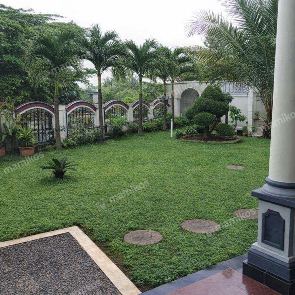 Rumah Sertifikat SHM 6 Kamar Tidur 4 Kamar Mandi Lebak Bulus Jakarta Selatan - Photo 2