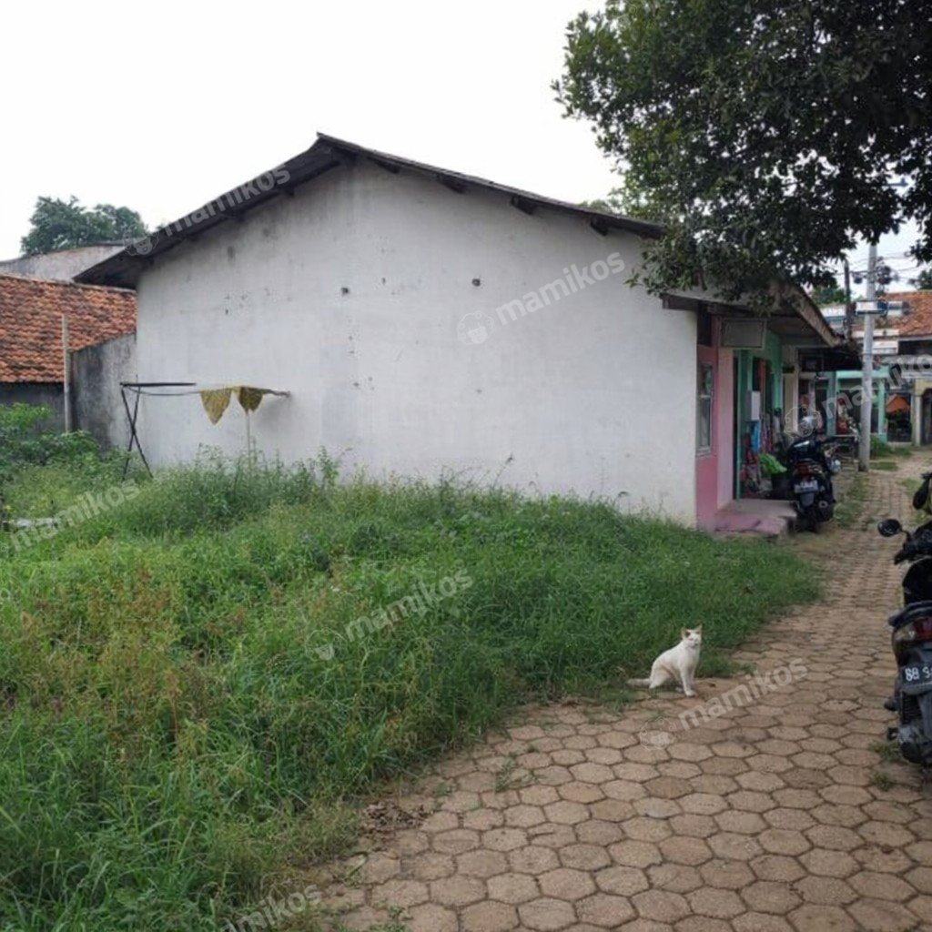 Rumah Sertifikat SHM 12 Kamar Tidur 12 Kamar Mandi Pasar Rebo Jakarta Timur - Photo 2