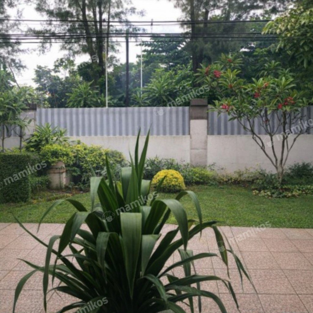 Rumah Sertifikat SHM 4 Kamar Tidur 3 Kamar Mandi Kayu Putih Jakarta Timur - Photo 3
