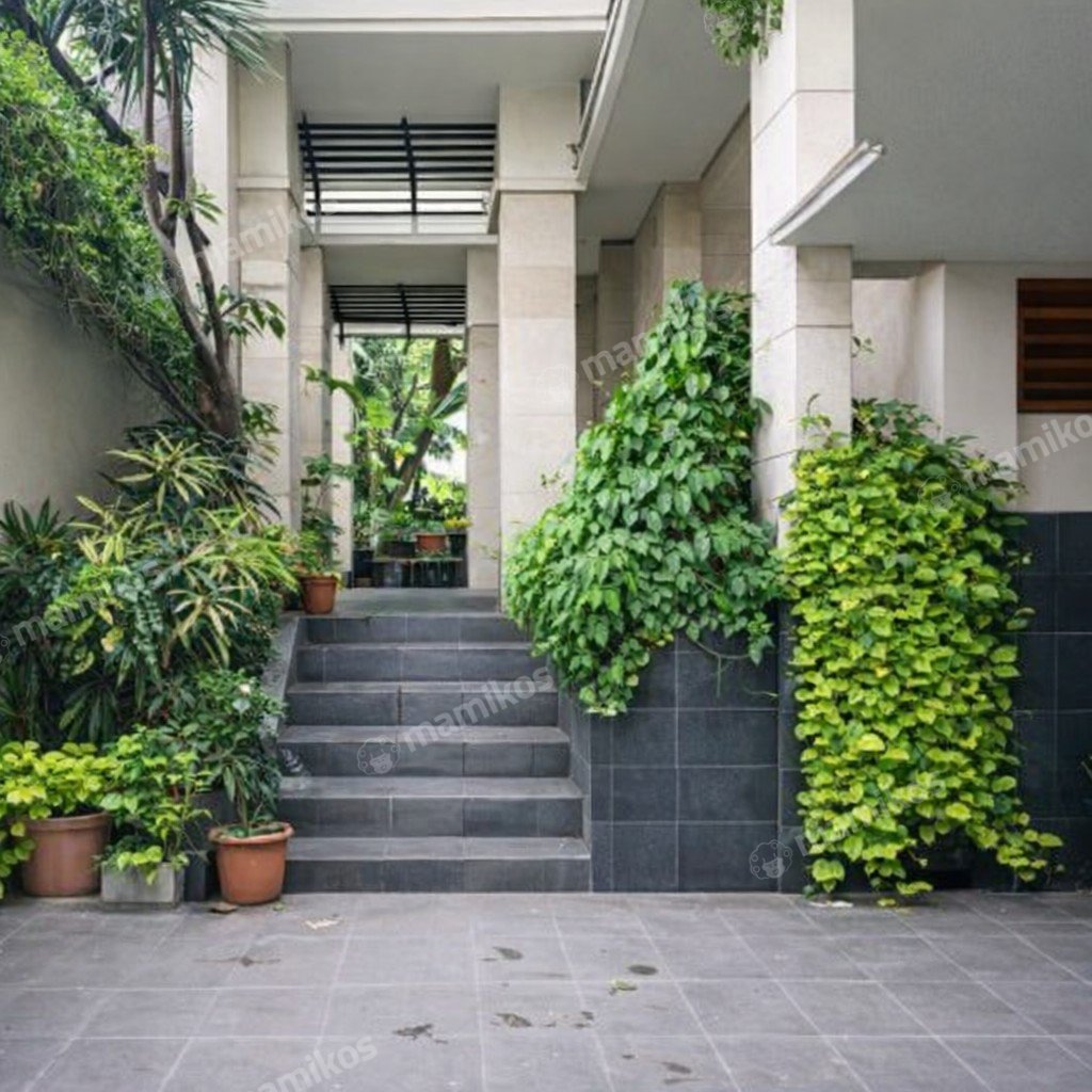 Rumah Sertifikat SHM 4 Kamar Tidur 3 Kamar Mandi Kebon Jeruk Jakarta Barat - Photo 5