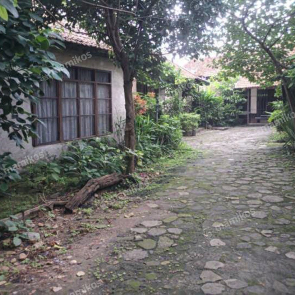 Rumah Sertifikat SHM 4 Kamar Tidur 3 Kamar Mandi Cilandak Jakarta Selatan - Photo 3