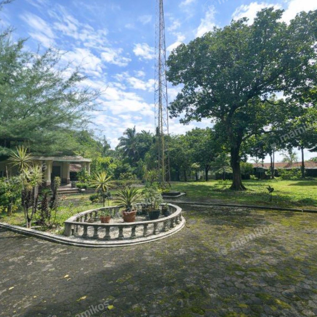 Rumah Sertifikat SHM 5 Kamar Tidur 4 Kamar Mandi Jagakarsa Jakarta Selatan - Photo 3