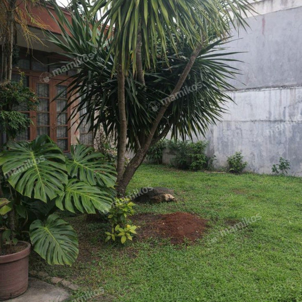 Rumah Sertifikat SHM 7 Kamar Tidur 3 Kamar Mandi Cinere Jakarta Selatan - Photo 4