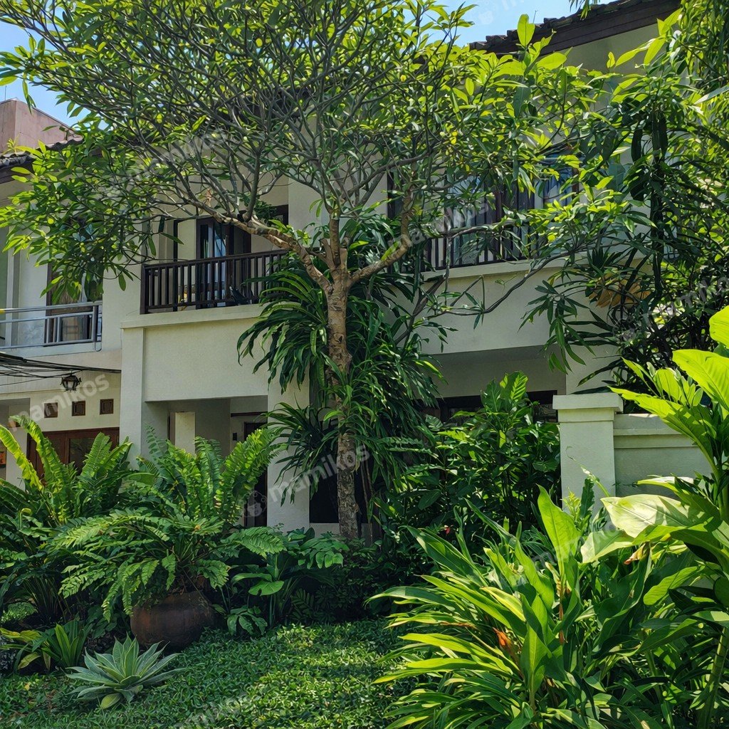 Rumah Sertifikat SHM 4 Kamar Tidur 2 Kamar Mandi Bintaro Jakarta Selatan - Photo 4