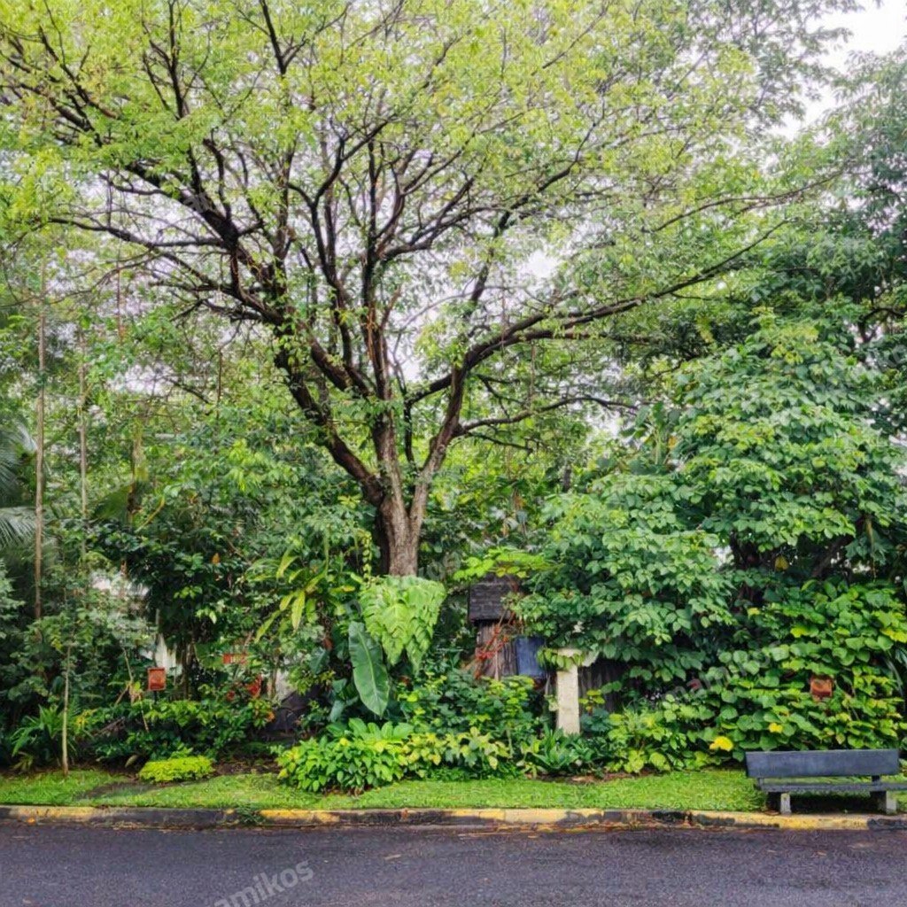 Rumah Sertifikat SHM 4 Kamar Tidur 3 Kamar Mandi Sektor 2 - Bintaro Jakarta Selatan - Photo 4