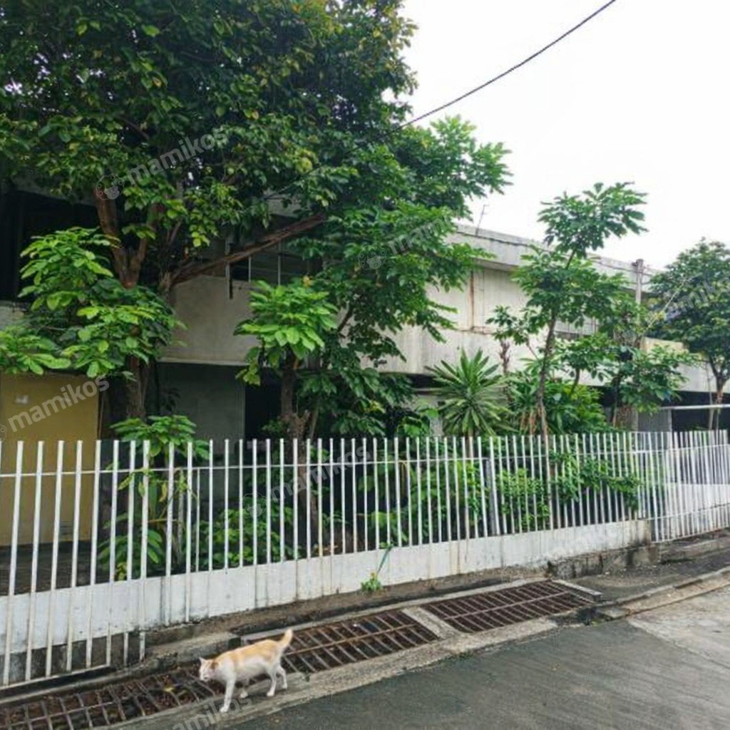 Rumah Sertifikat SHM 4 Kamar Tidur 3 Kamar Mandi Bangka Jakarta Selatan - Photo 2