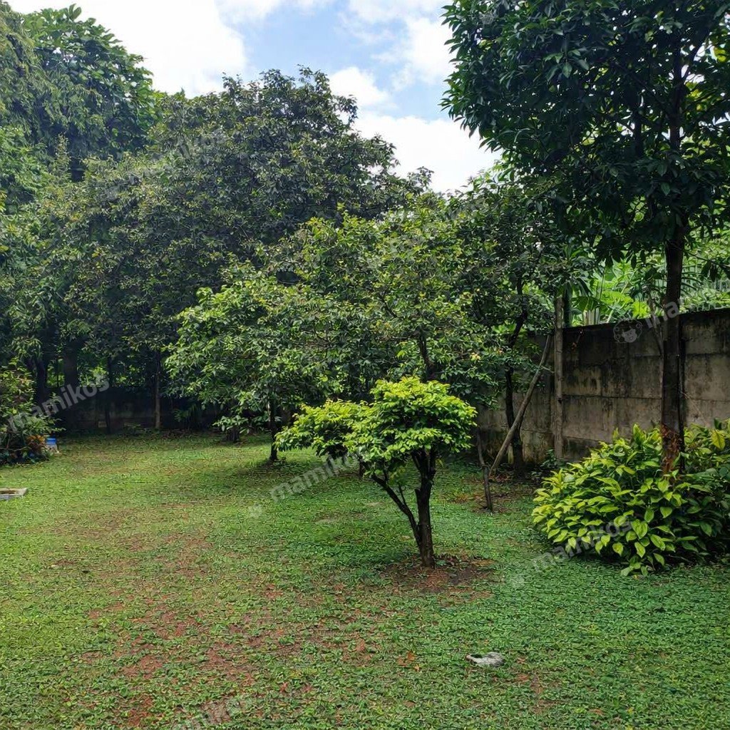 Rumah Sertifikat SHM 3 Kamar Tidur 3 Kamar Mandi Cibubur Jakarta Timur - Photo 3
