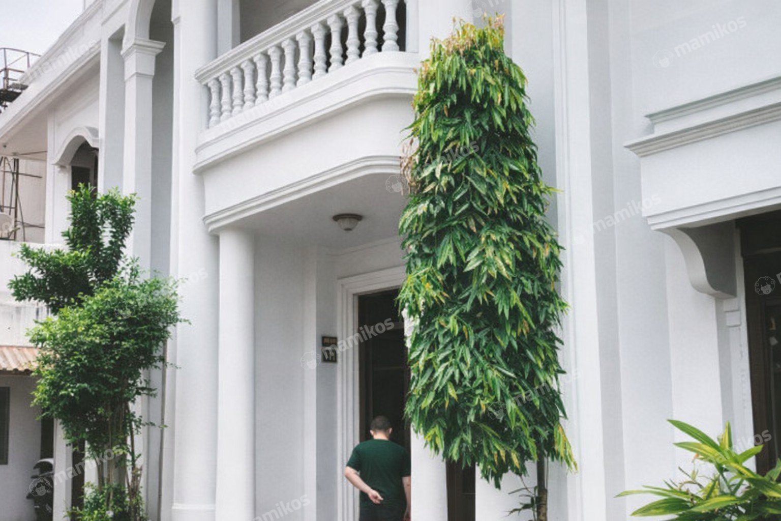 Rumah 7KT 4KM Joglo Jakarta Barat