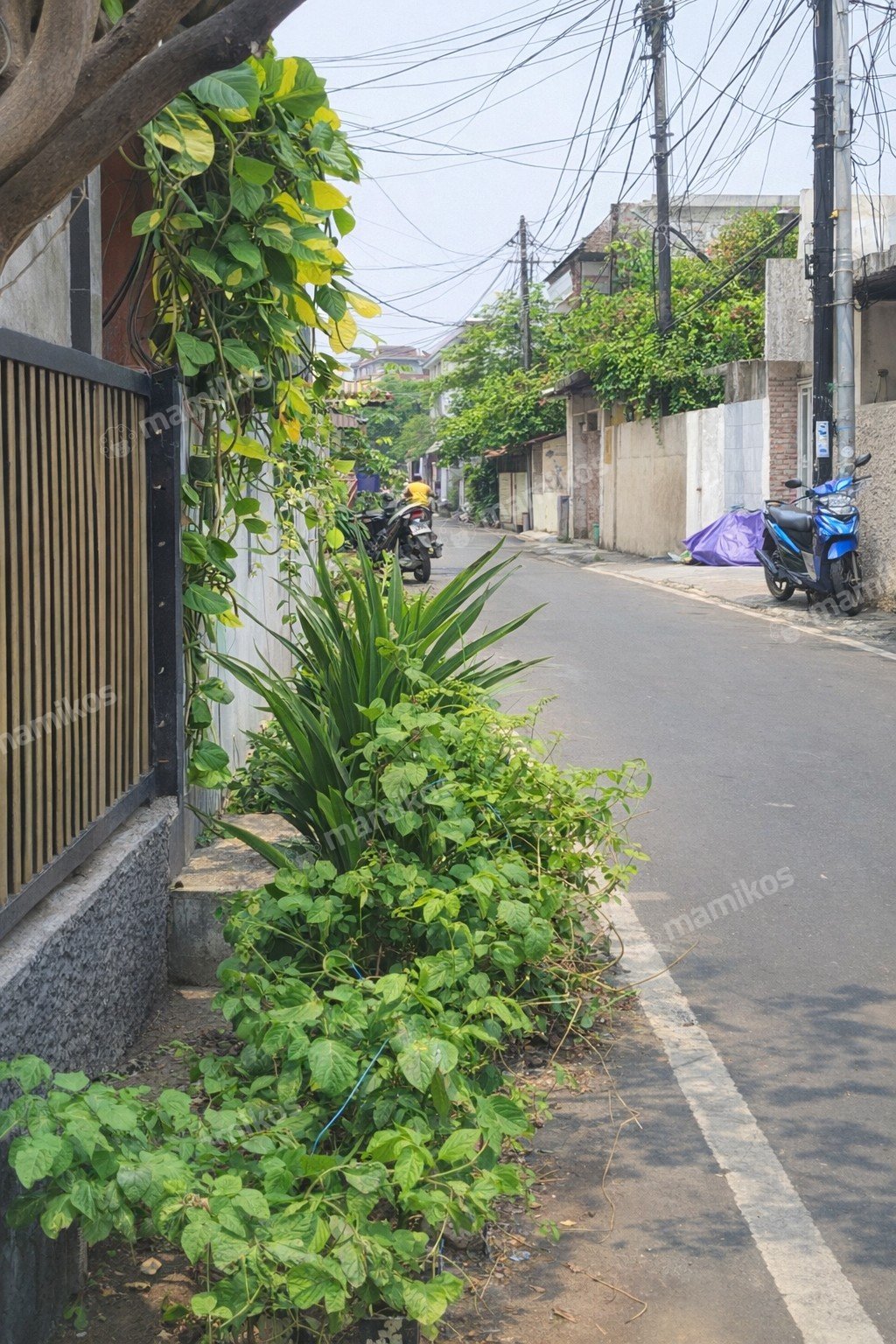 Rumah Sertifikat SHM 3 Kamar Tidur 3 Kamar Mandi Pulomas Jakarta Timur - Photo 4
