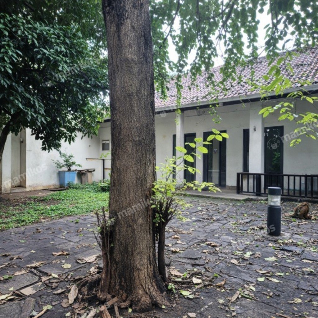Rumah Sertifikat SHM 1 Lantai Kebayoran Baru Jakarta Selatan - Photo 3