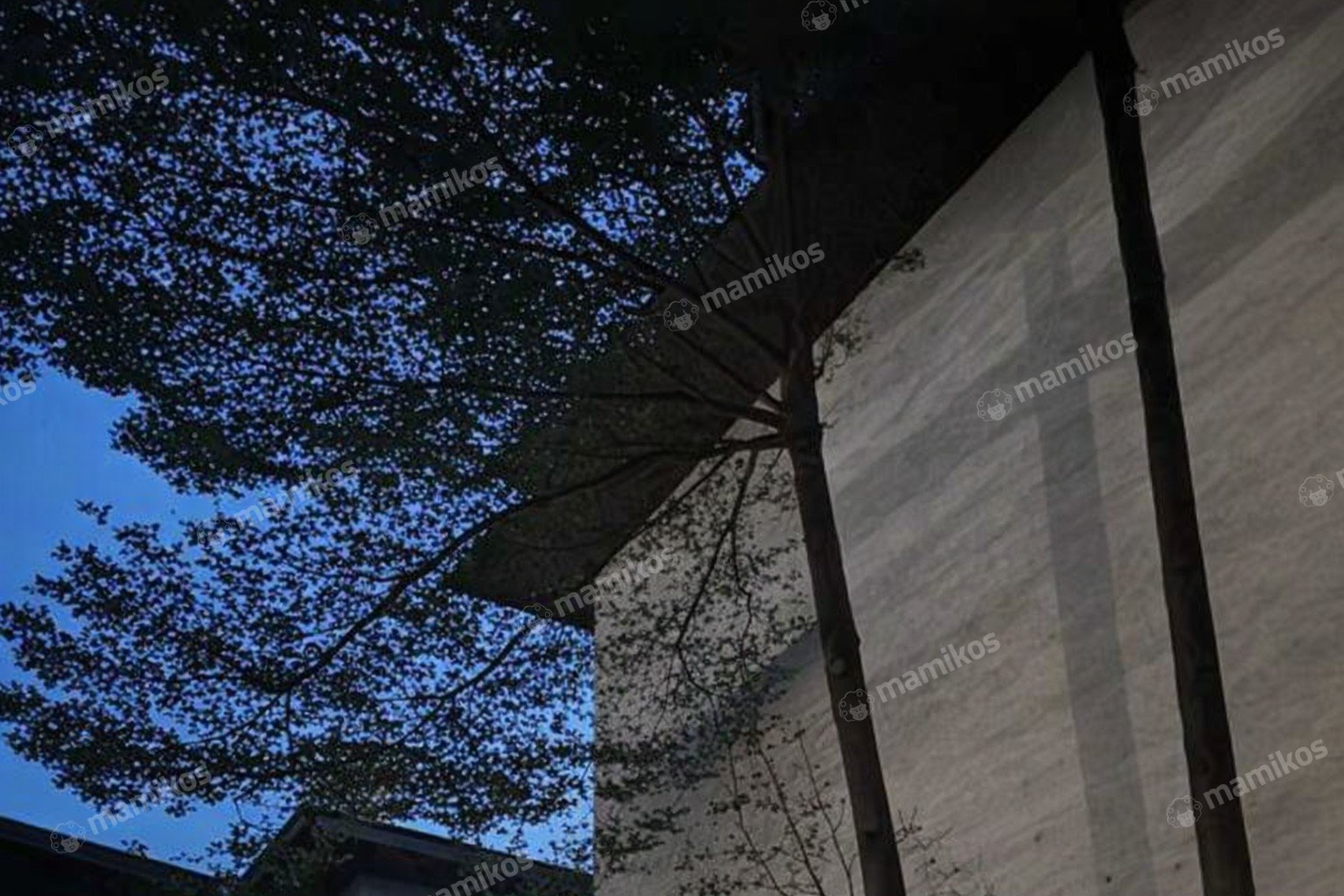 Rumah 5KT 5KM Kebayoran Lama Jakarta Selatan