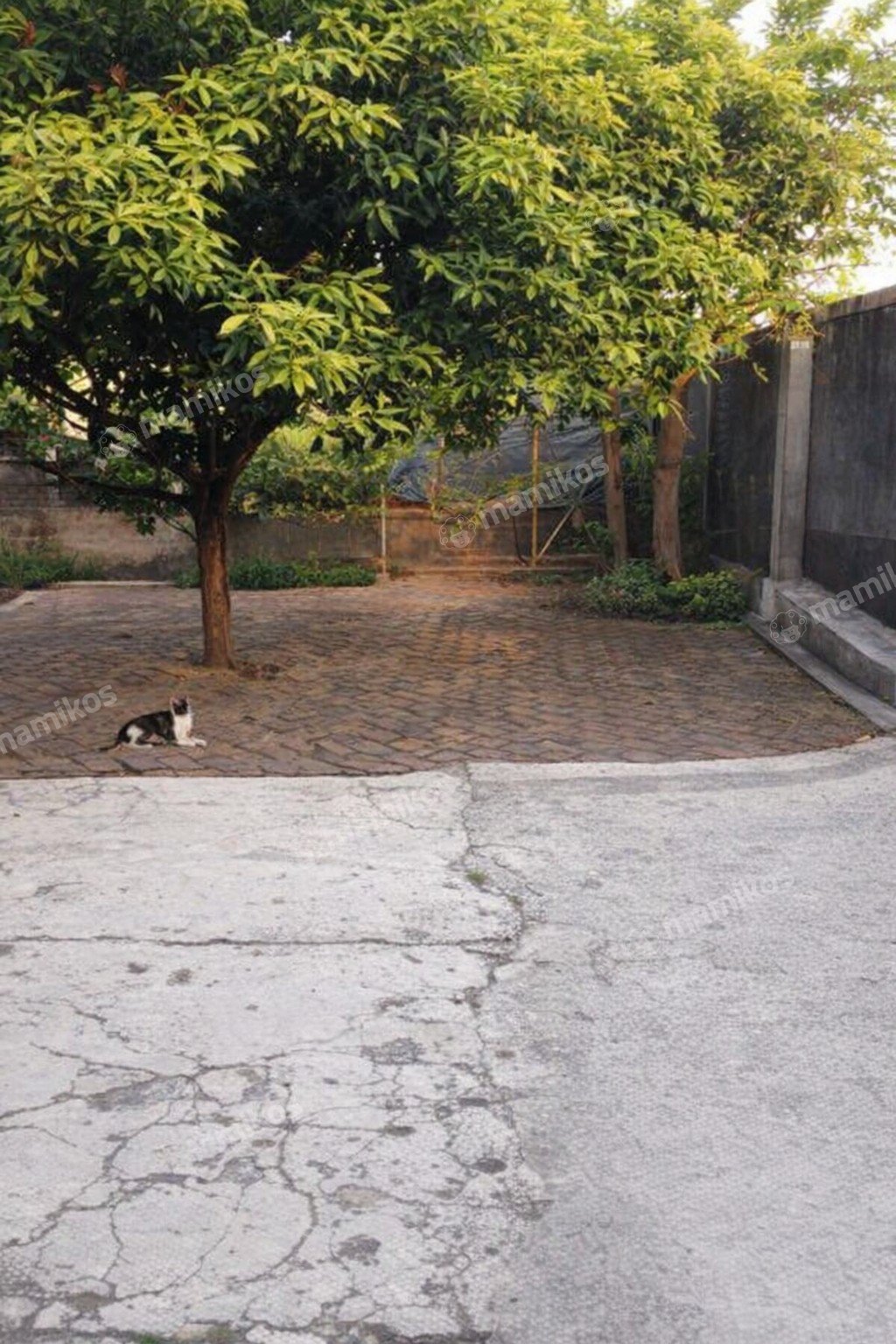 Rumah Sertifikat SHM 5 Kamar Tidur 3 Kamar Mandi Pondok Bambu Jakarta Timur - Photo 3