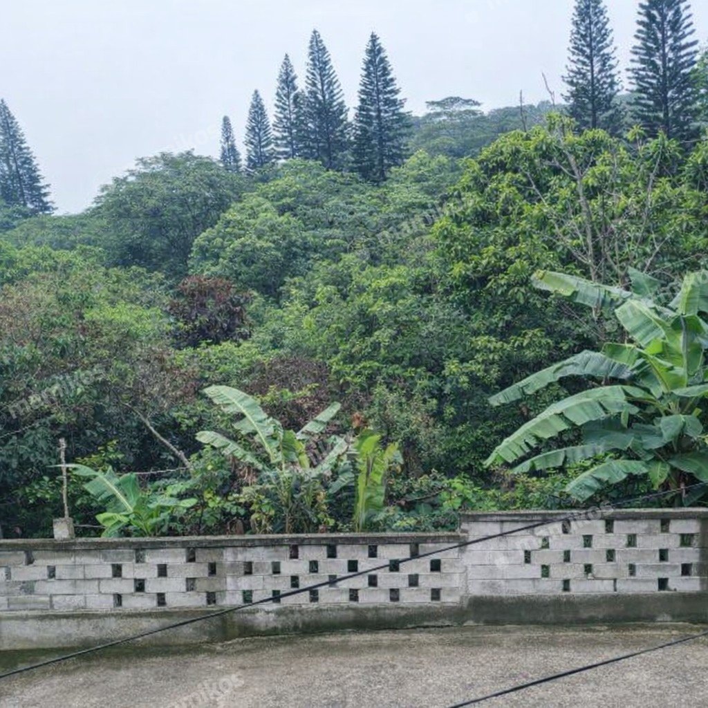 Rumah Sertifikat SHM 3 Kamar Tidur 2 Kamar Mandi Cinere Jakarta Selatan - Photo 5