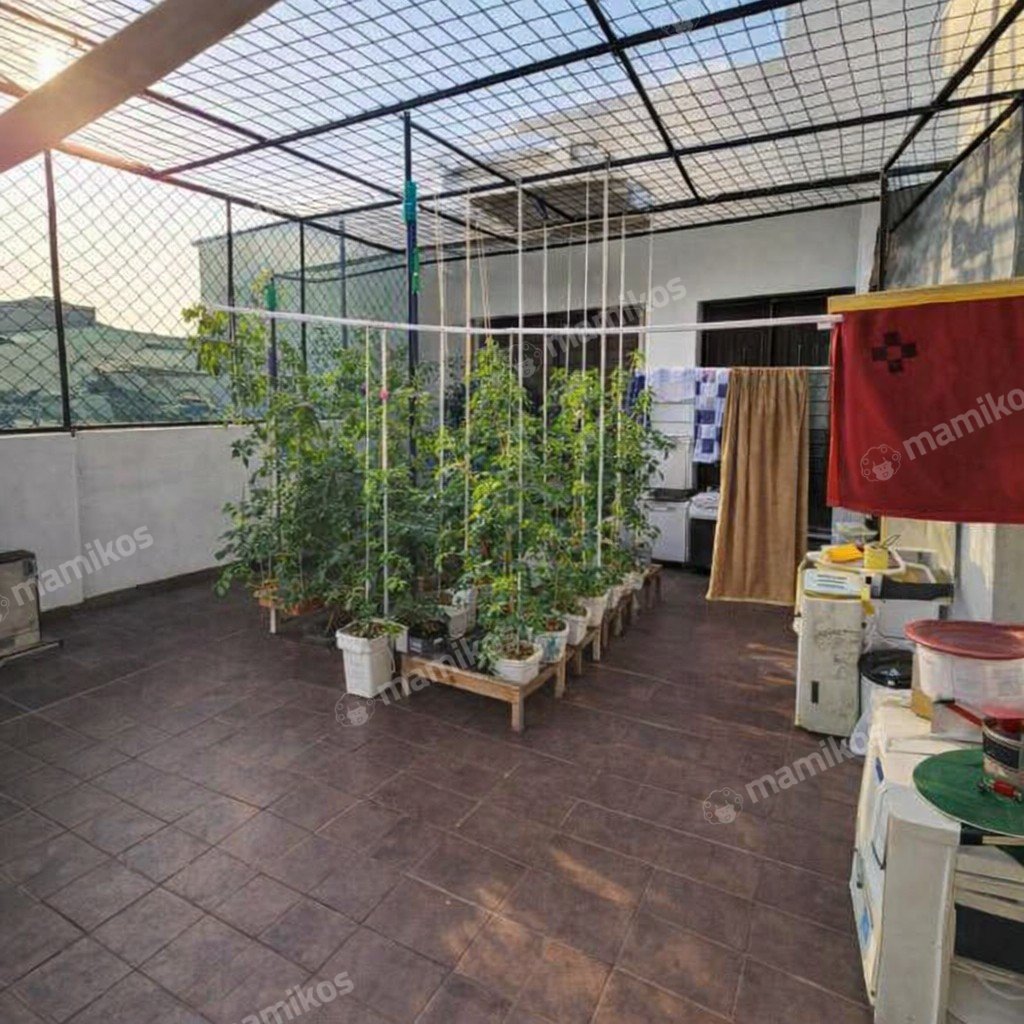 Rumah Sertifikat SHM 4 Kamar Tidur 4 Kamar Mandi Mangga Besar Jakarta Barat - Photo 4