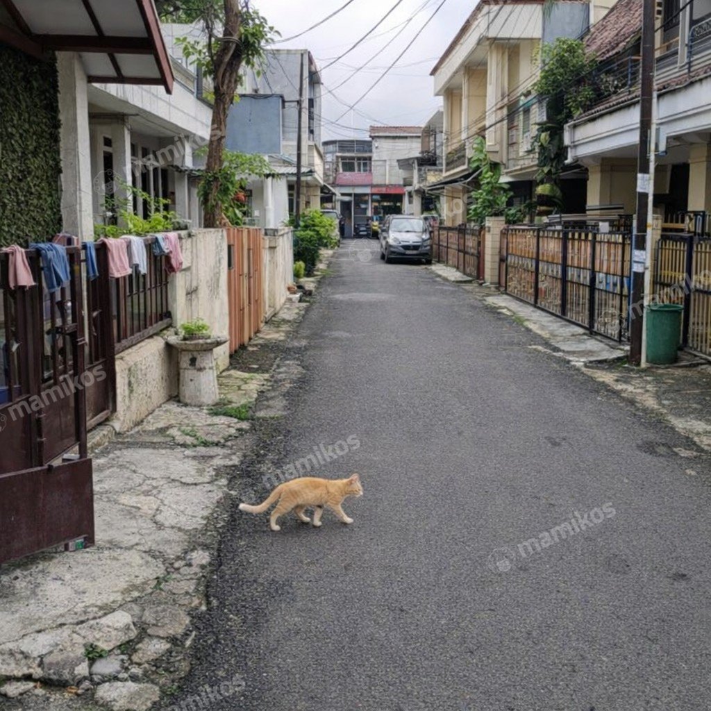 Rumah Sertifikat SHM 3 Kamar Tidur 2 Kamar Mandi Pondok Kelapa Jakarta Timur - Photo 3